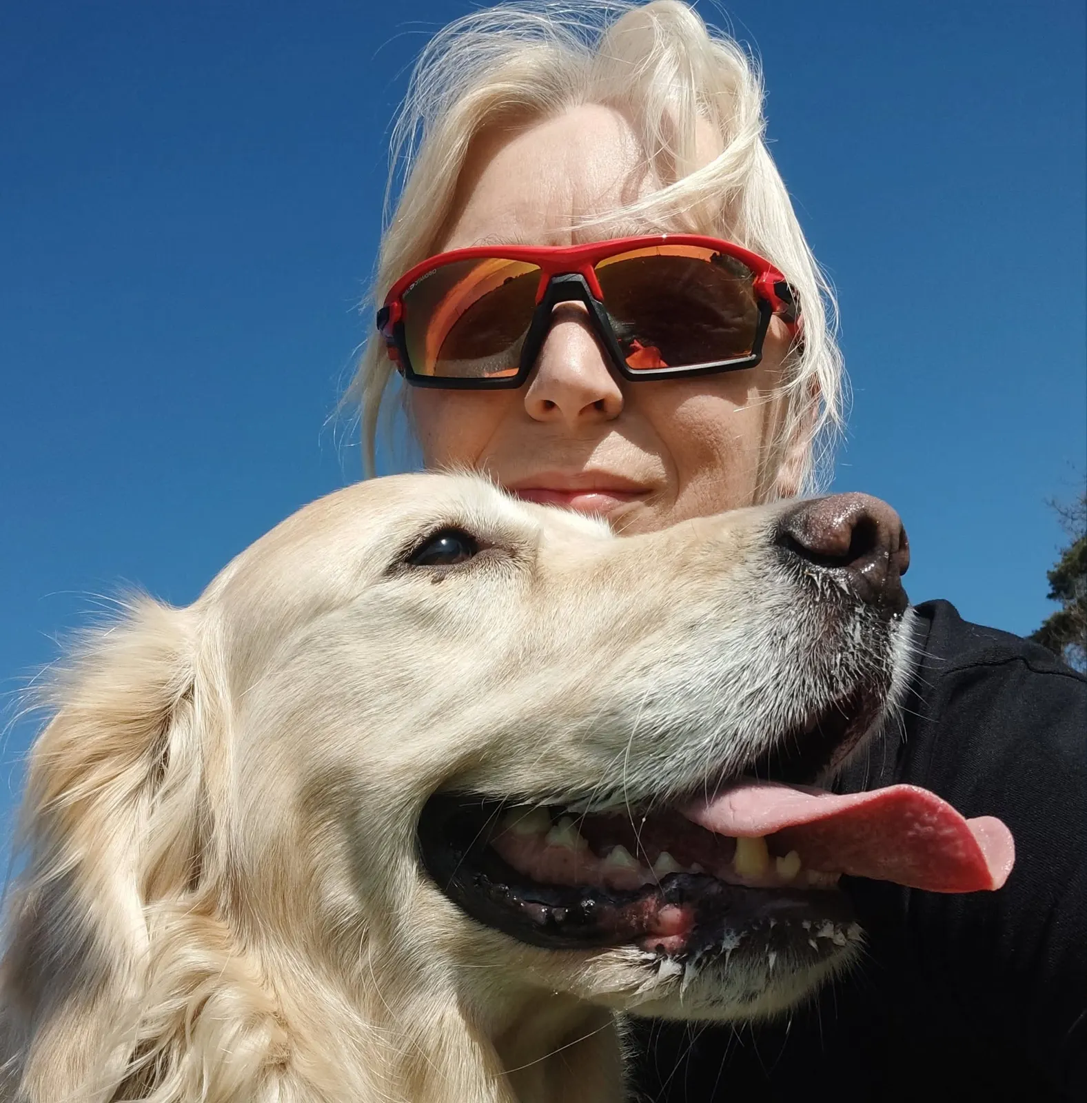 Carmen, golden retriever, w bandanie z napisem „Jestem tu, by Cię wspierać”